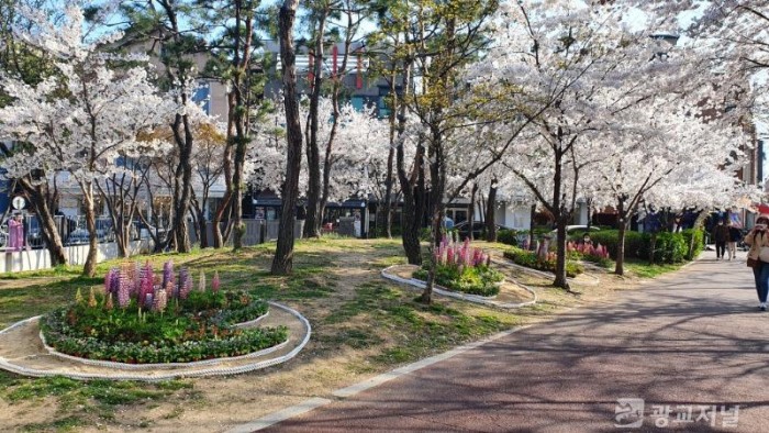 (사진) 기흥구 보정동 푸르네근린공원 꽃밭 모습.jpg