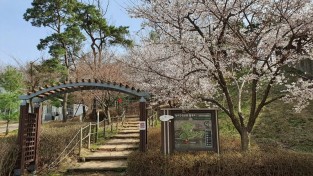 210330_용인시, 기흥구 농서근린공원 산책로 정비 나선다_사진(1).jpg