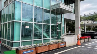 210601_건물에 덩굴식물 심어 온도 낮추는 그린커튼 설치 완료_사진(2) 기흥동 행정복지센터.JPG