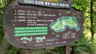 정광산 애호랑나비 북방산개구리 서식지 복원 완료 1.jpg