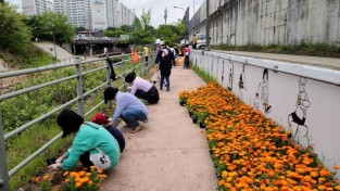 6. 구성동 주민들이 분양받은 꽃밭에 꽃을 심고 있다..jpg