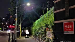 4-2. 동백고등학교 앞에 새로 설치된 LED 인도등.jpg
