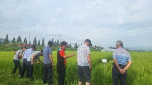 4. 용인특례시가 백옥쌀 GAP 생산단지 재배지 심사를 지난 21일 시작했다. 관계자들이 백암면 일원에서 심사를 하고 있다..jpg