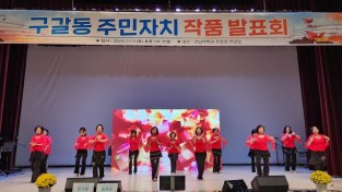7. 구갈동 주민자치센터가 지난 11일 강남대에서 주민자치 작품발표회를 열었다..jpg