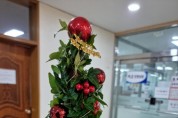용인시, 아이비 식물로 크리스마스 트리 만들기 키트 제공