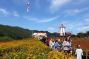 [문화] 평창군, 2019백일홍축제…개성 ‘톡톡’감동축제 꼭 이룬다