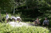 [사회] 평창군, 효석산림욕장···"스토리  담은 숲 휴양공간 된다!"