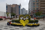 용인 영덕1동, 젊음의 광장에 국화꽃 화원 조성