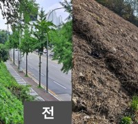 기흥구, 구갈·서천동 녹지 2곳 황폐화 방지 위해 칡덩굴 제거