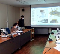 용인시, 모기예보제 향상 8~11월‘모기 종 분류 사업' 완료