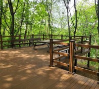 용인특례시, 정암수목공원·서봉숲속공원 산책로 정비