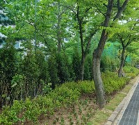 용인시, 수지구 토월초교 내 유휴공간 '학교숲'으로 탈바꿈