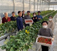 스마트팜, 식물공장…스마트농업 이끌‘용인농민’모집