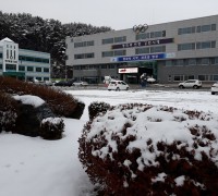 평창군, 이상기후에도 ‘대관령눈꽃축제’ 11만명 방문 대성황!