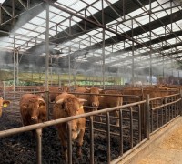 축산농가 폭염 피해 예방·대응 활동 강화